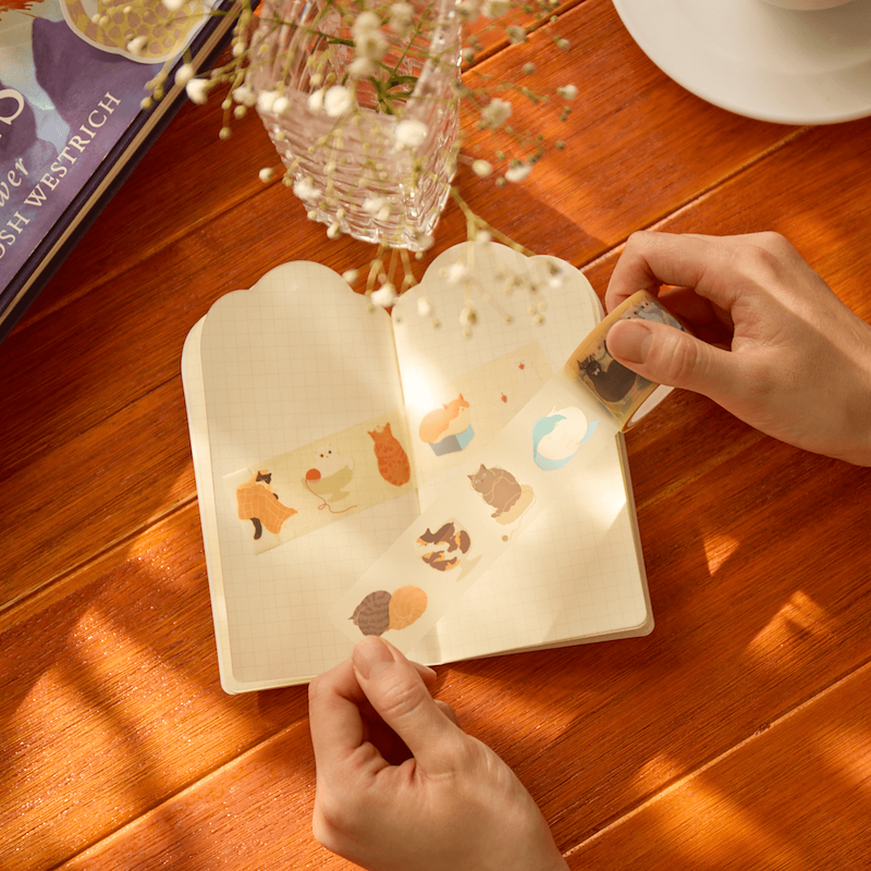 Nyan Nyan Nyan Box - March 2026 Calendar Included