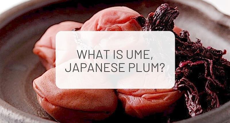 What is Ume, Japanese plum?