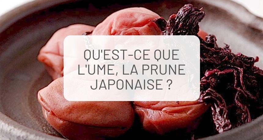 Qu'est-ce que l'ume, la prune japonaise ?