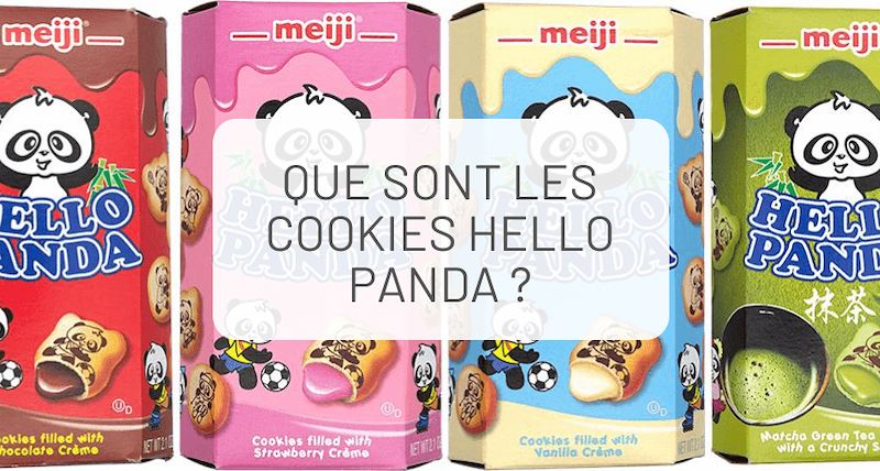 Que sont les cookies Hello Panda japonais ?