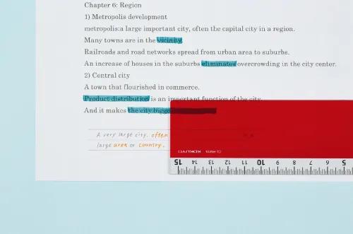 Campus Ruler with Memorization Sheet (Kokuyo)