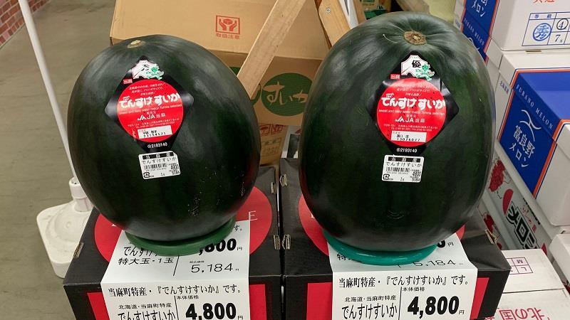 Black Densuke Watermelon