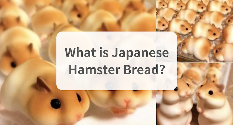 What is Japanese Hamster Bread?
