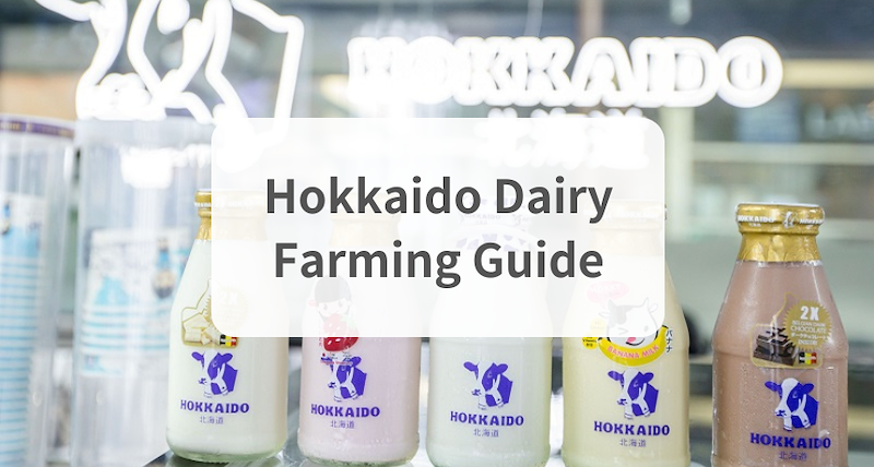 Hokkaido Dairy Farming