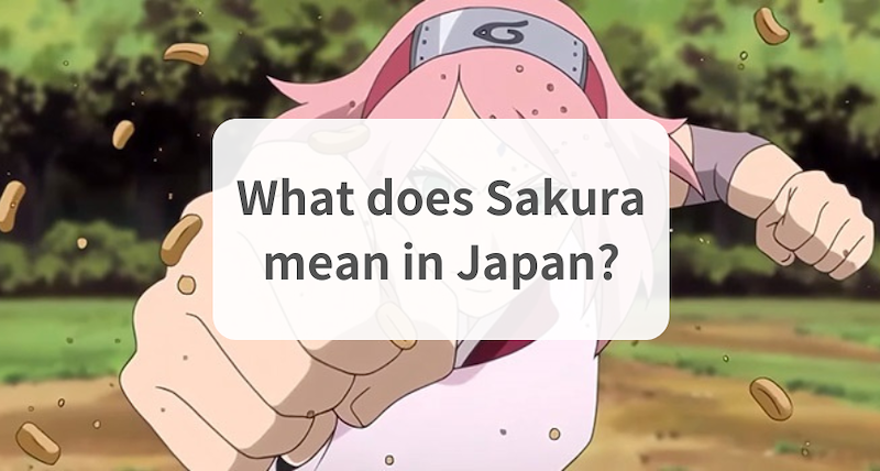 What does Sakura mean in Japan?