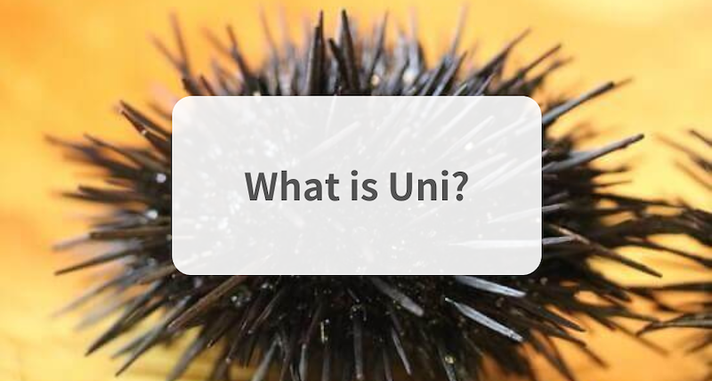 What is Uni? Everything you need to know.