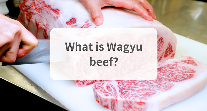 What is Wagyu?