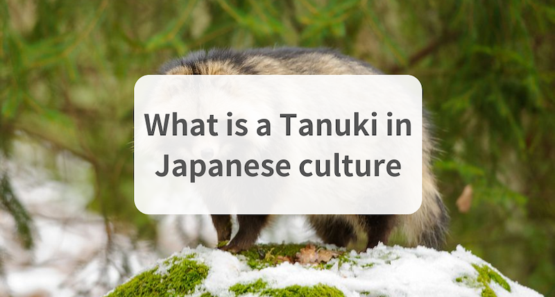 Unraveling the Mysteries of the Tanuki in Japanese Culture