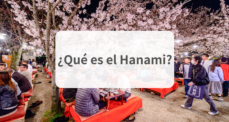 ¿Qué es el Hanami? (Guía completa)
