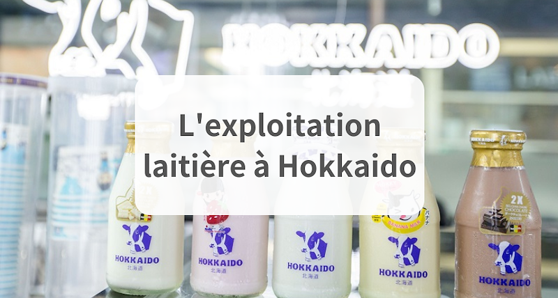 L'élevage laitier d'Hokkaido