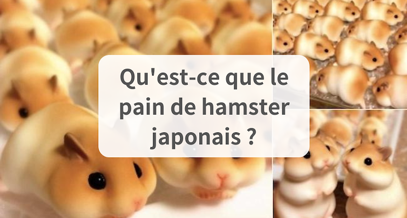 Qu'est-ce que la brioche hamster japonaise ?