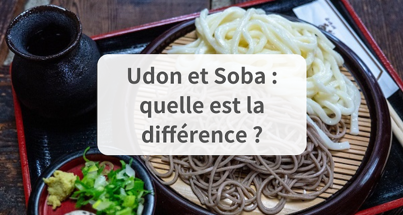 Quelle est la différence entre Udon et Soba ?