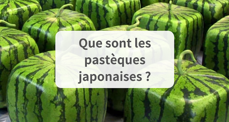 Que sont les pastèques japonaises ?