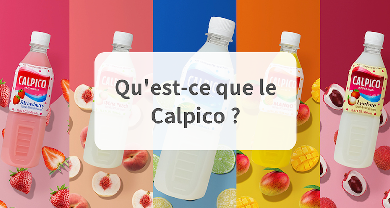 Qu'est-ce que le Calpico ? (Guide ultime du Calpico)