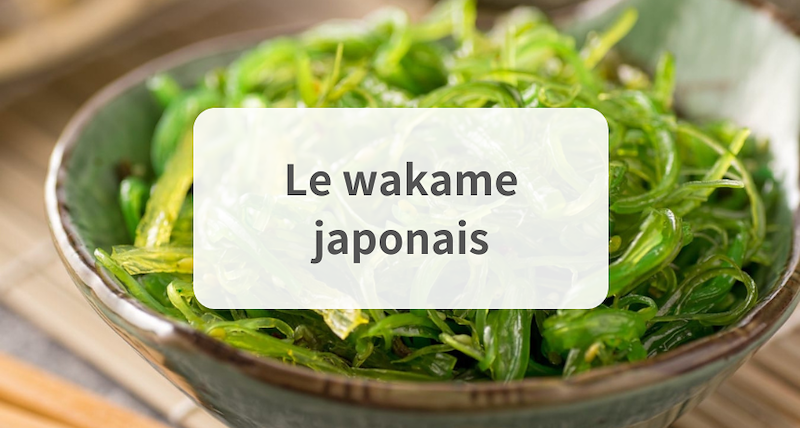 Guide du wakame et de son utilisation