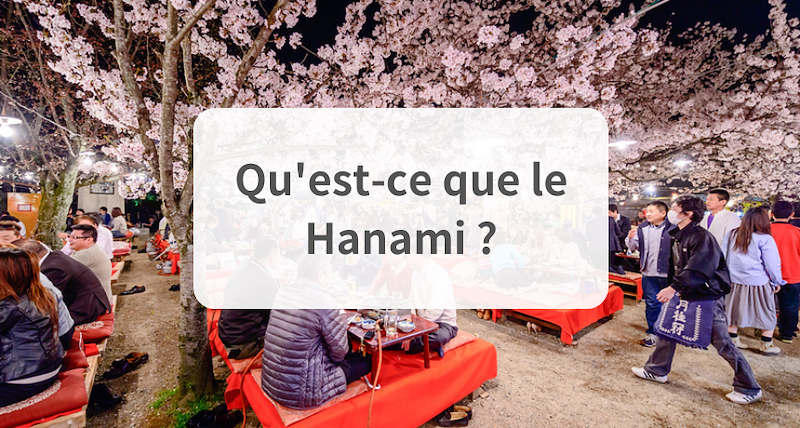 Qu'est-ce que le Hanami ? (Un guide complet)