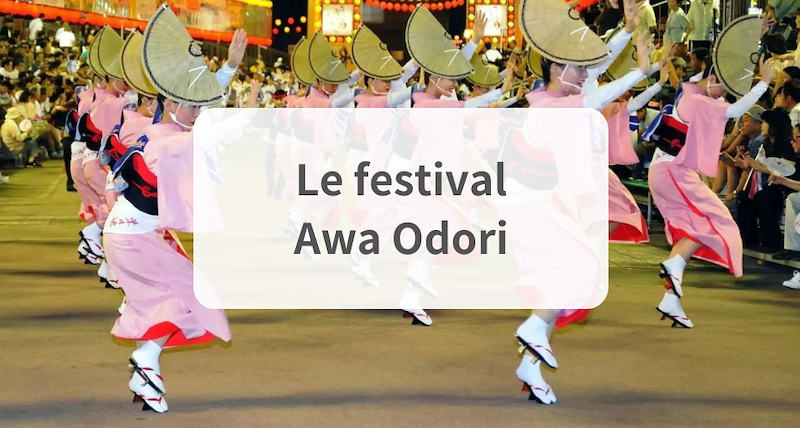 </title><meta name="robots" content="noindex"> Le festival Awa Odori