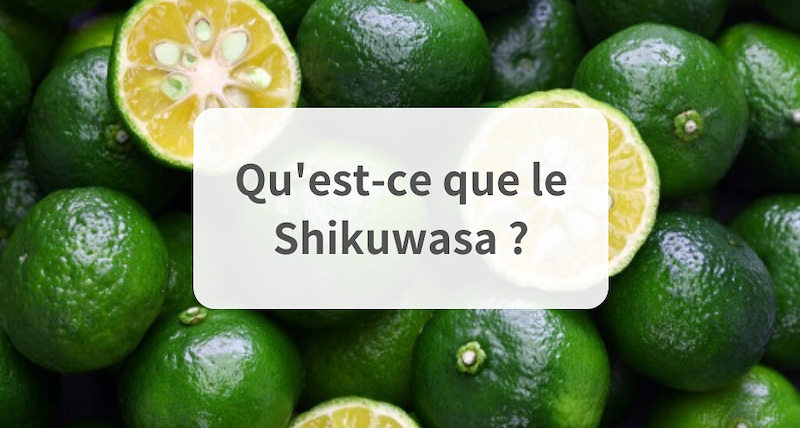 Qu'est-ce que le Shikuwasa ?
