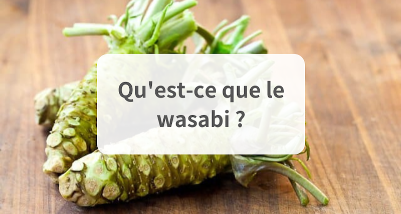 Qu'est-ce que le Wasabi ? (et pourquoi il est si bon)