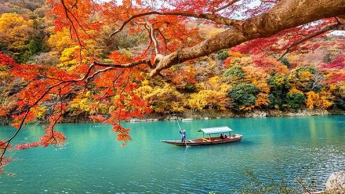 Fall in Arashiyama