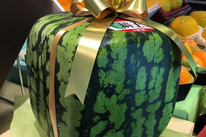 Gift Watermelon