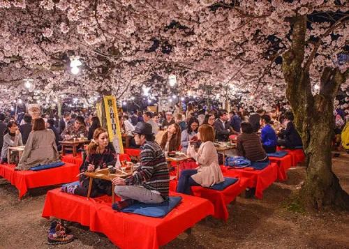 Hanami Party