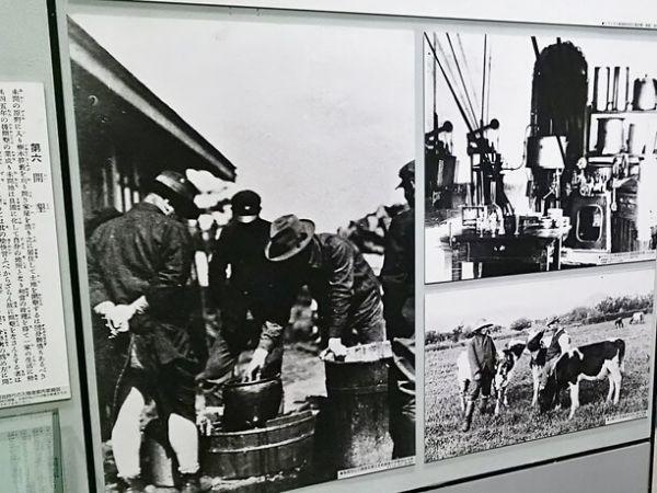 History of Hokkaido Dairy Production
