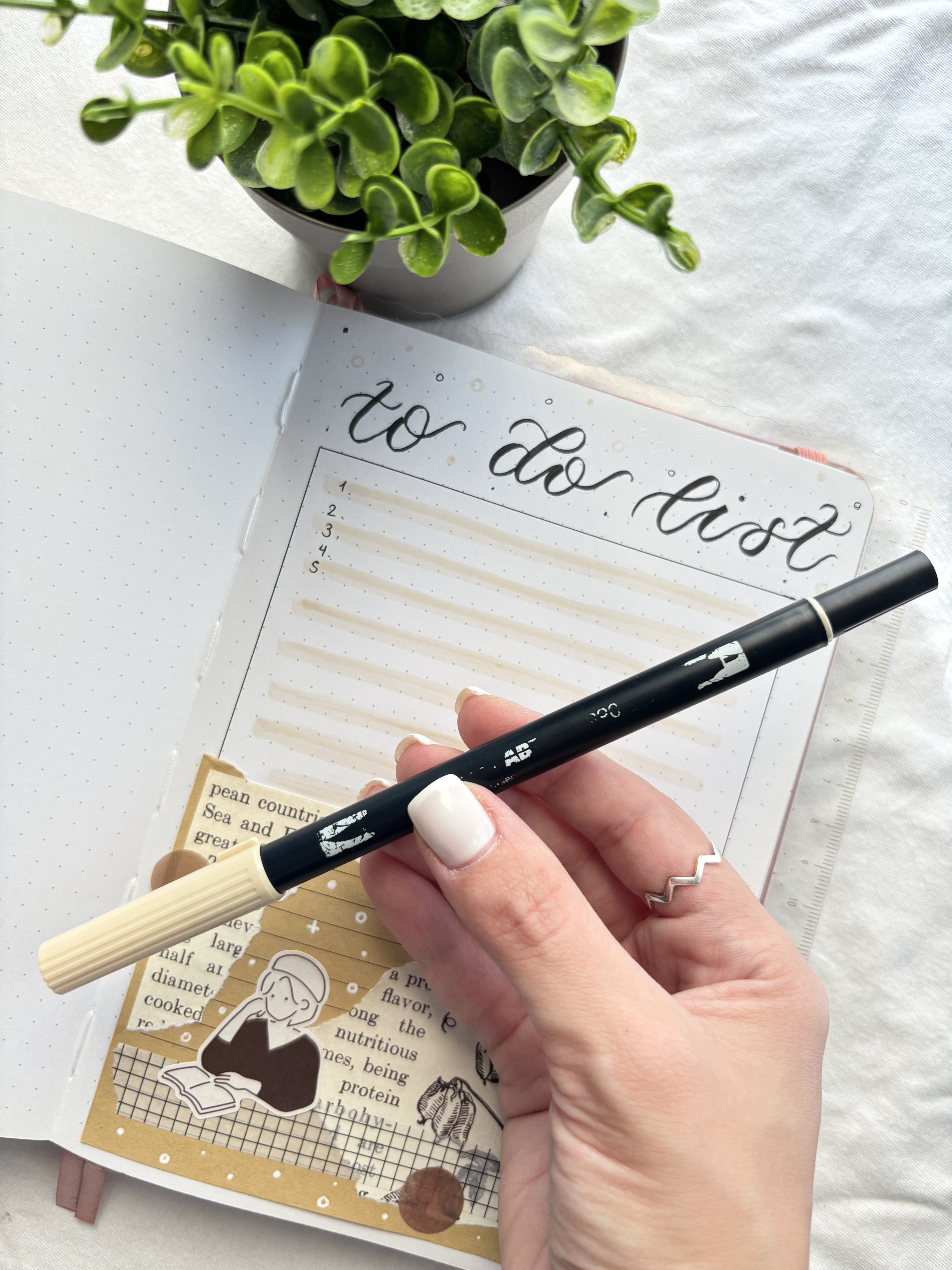 Tombow Dual Brush Pens