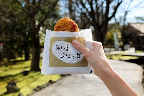 Japanese Croquette