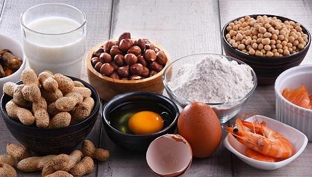 Japanese School Lunch Ingredients