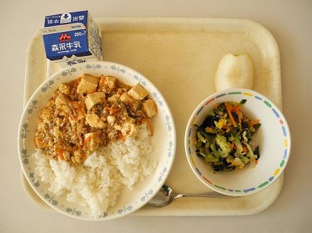 Japanese School Lunch with Tofu