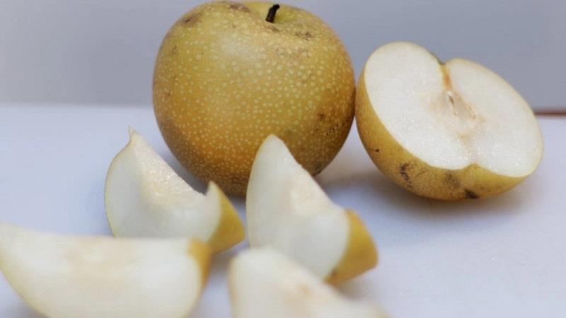 Nashi pear Skin