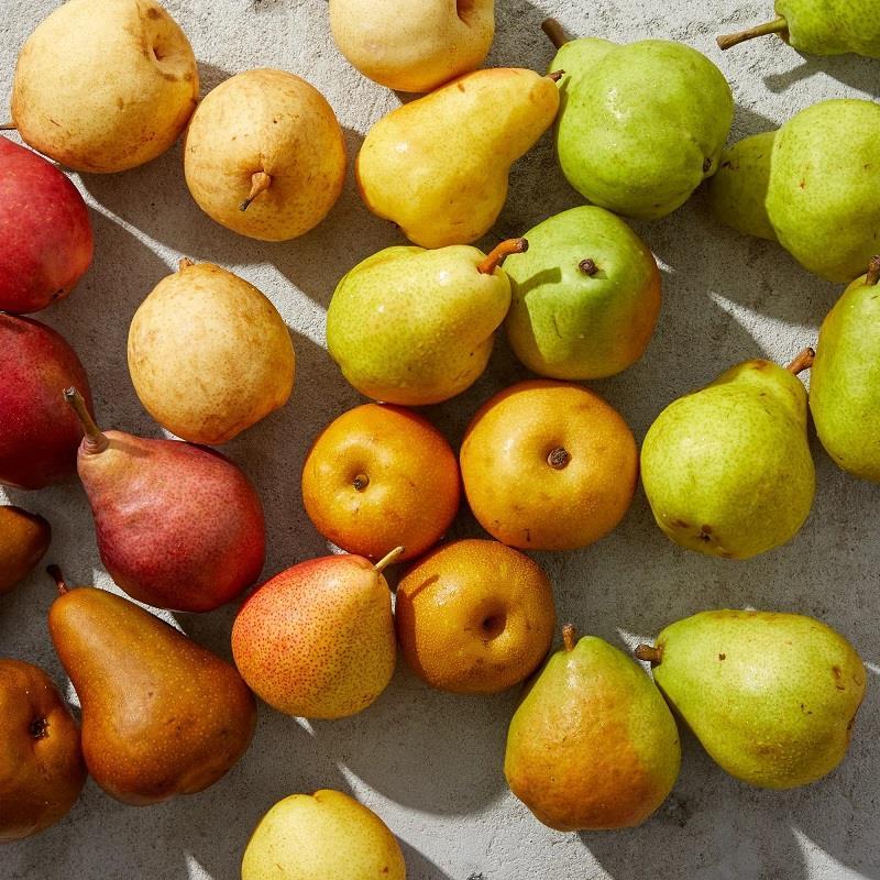 Varieties of Pears