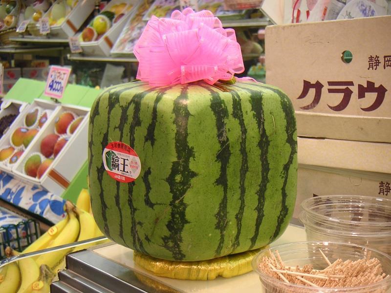 Japanese Square Watermelon