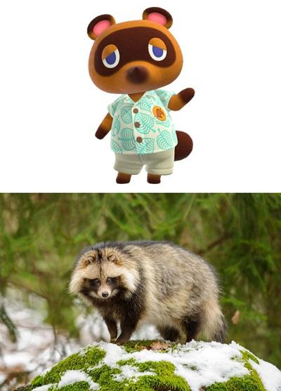 Tanuki from Animal Crossing