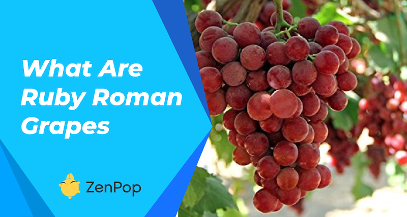 What Are Ruby Roman Grapes?