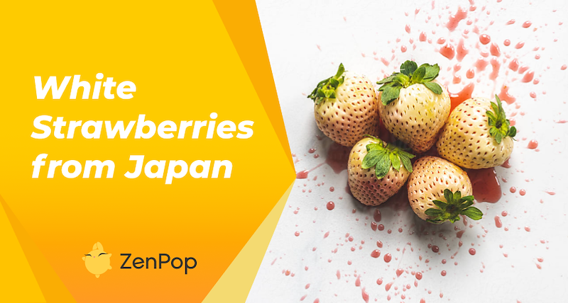 White Strawberries from Japan: One of Japanese Luxury Fruits