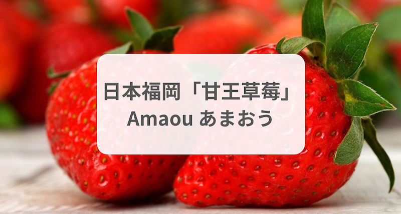 日本「甘王草莓」