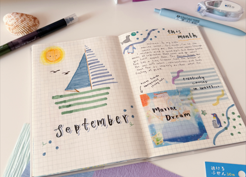 Reflection or Goal Journal