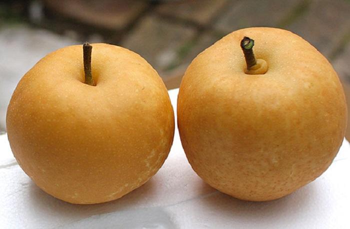 Kosui Nashi Pears