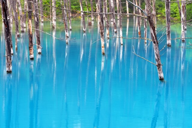Blue Pond