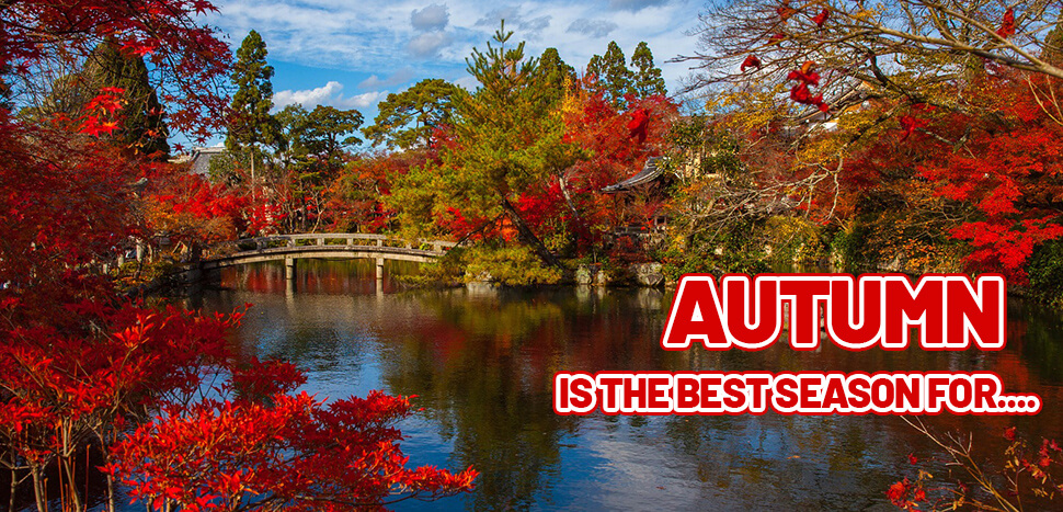 Autumn in Japan is the Best Season for...