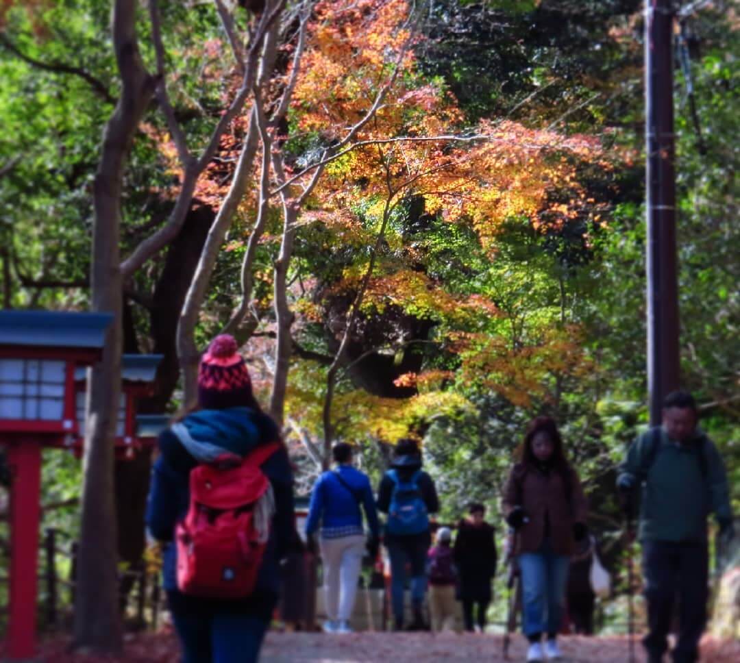 Mount Takao, Tokyo, in autumn