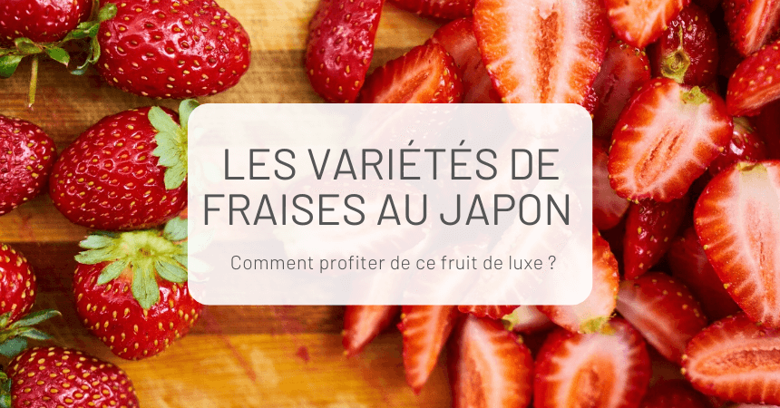 Les variétés de fraises au Japon - Un fruit de luxe