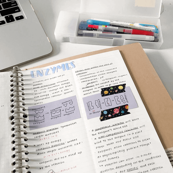 Study notes embellished with washi tape