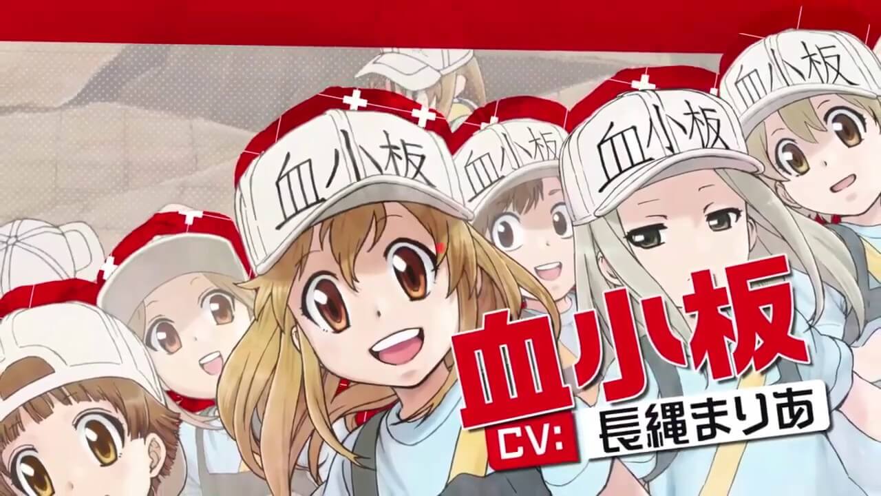 Cells at Work! (Hataraku Saibou) WHITE 4 – Japanese Book Store