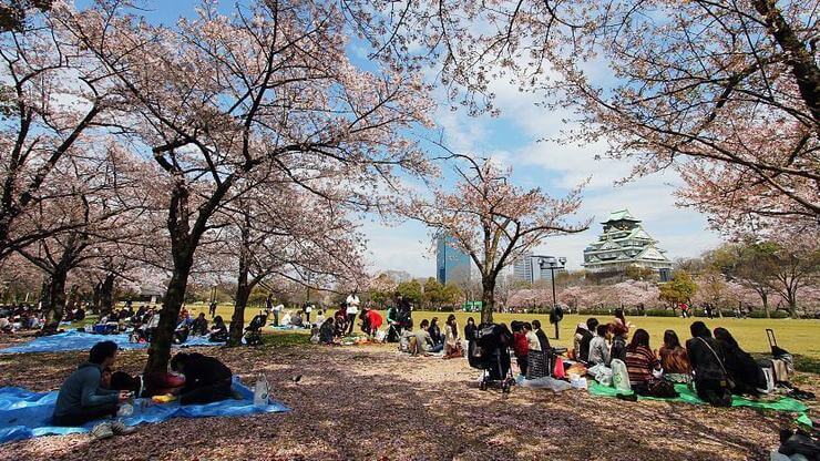 Le parc du château d'Osaka