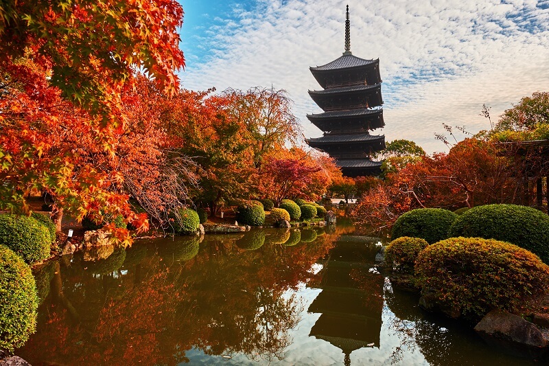 Kyoto Pagoda with Momiji