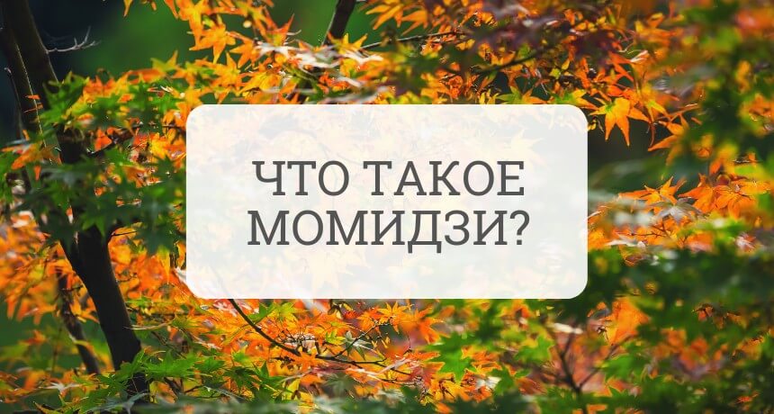 Что такое момидзи?