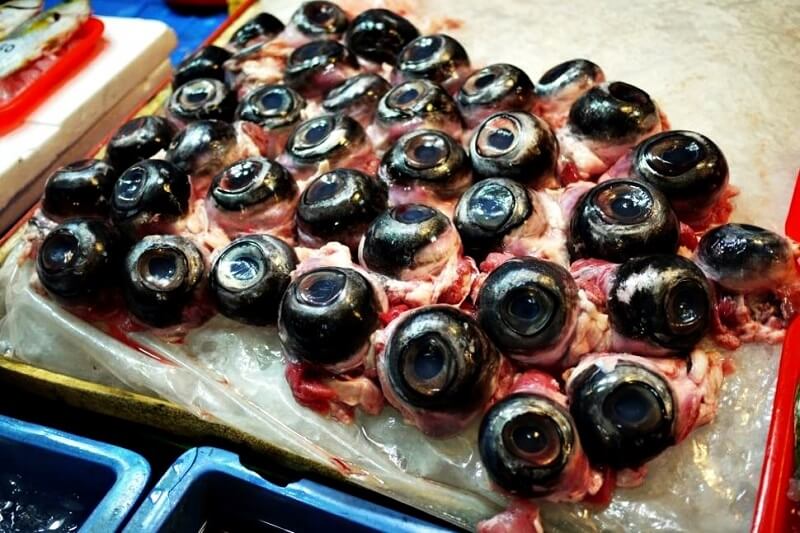 鮪魚眼